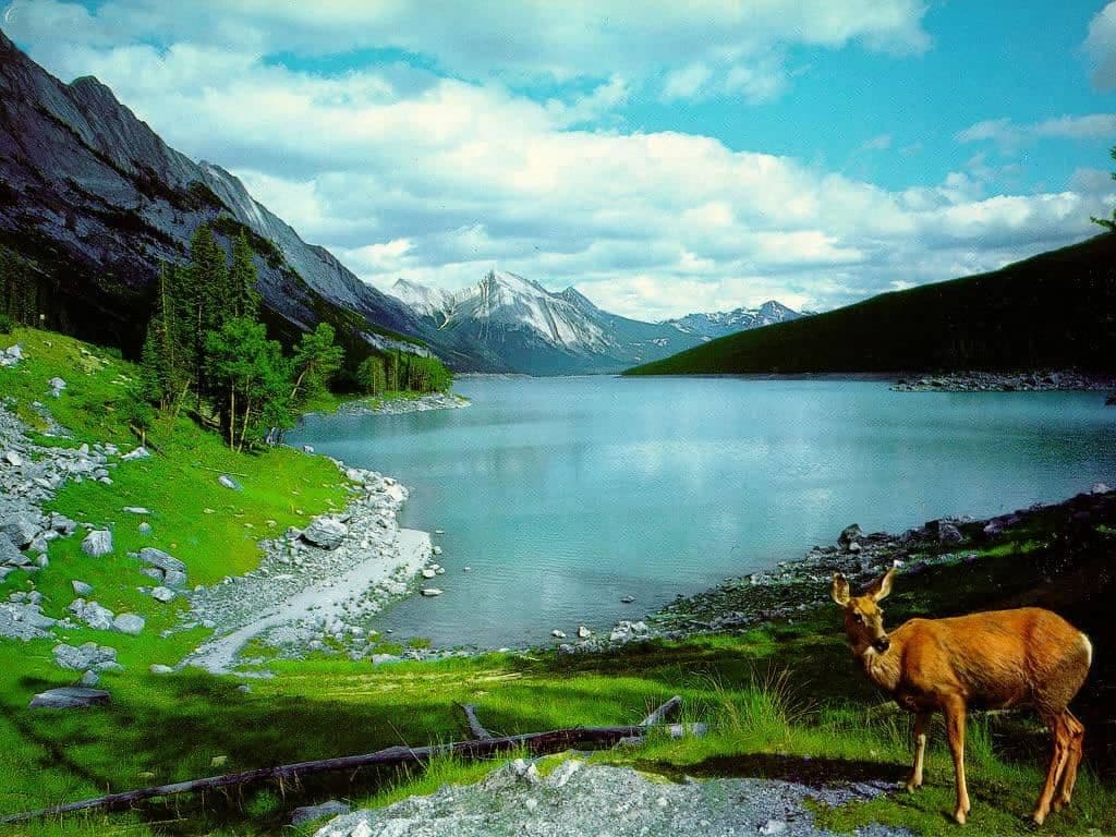 Important features of Korean landscape painting